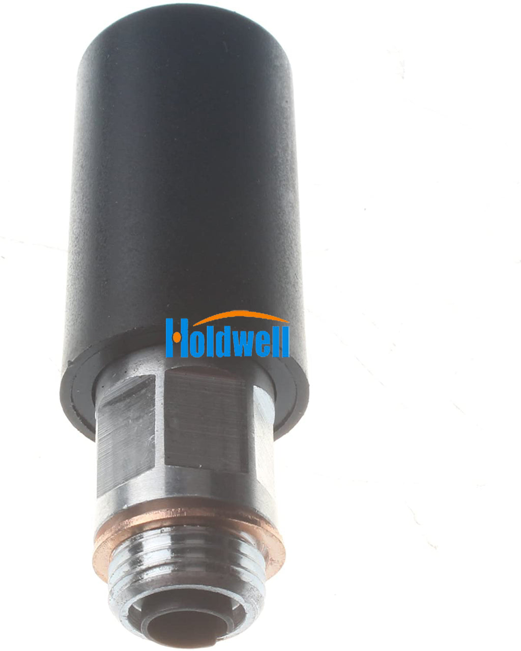 Holdwell International DT466E DT530E Primer Pump PAI P/N EPP-3757 for Bosch 2447010039